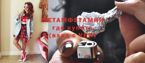 шишки Гусь-Хрустальный