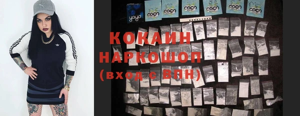 шишки Гусь-Хрустальный