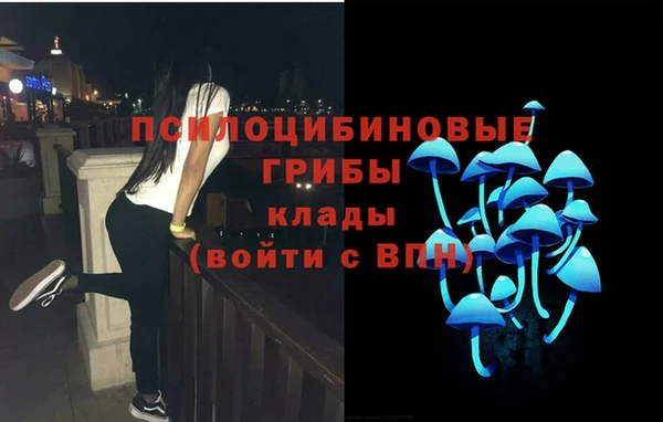 Альфа ПВП Гусиноозёрск