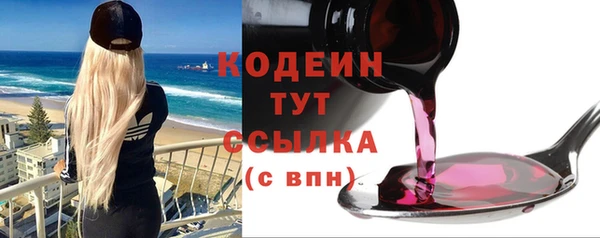 шишки Гусь-Хрустальный