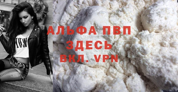 шишки Гусь-Хрустальный