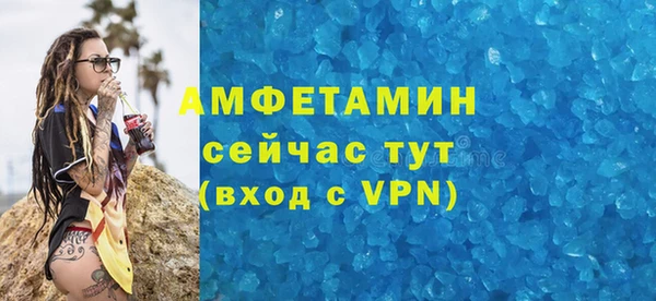 шишки Гусь-Хрустальный