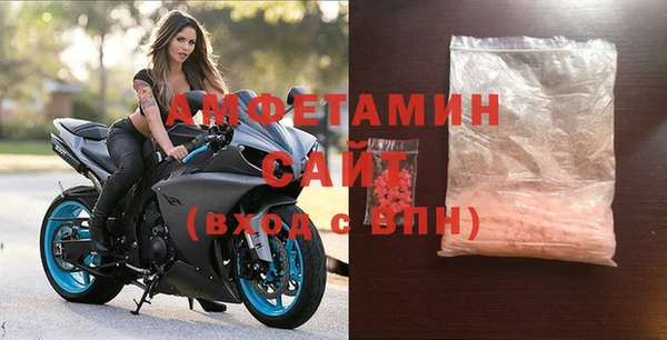 шишки Гусь-Хрустальный