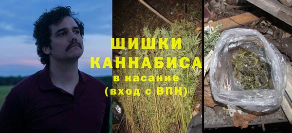 шишки Гусь-Хрустальный