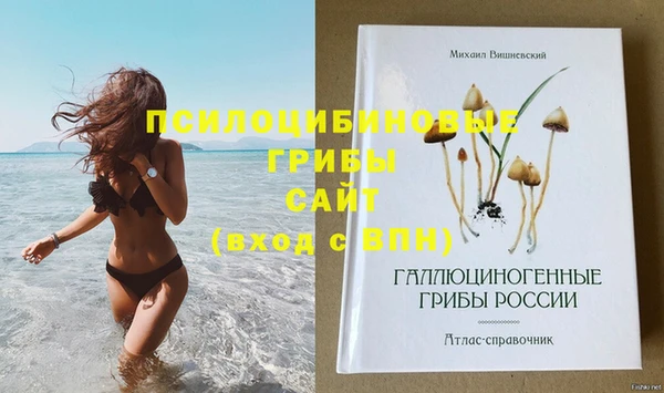 гашиш Гусев