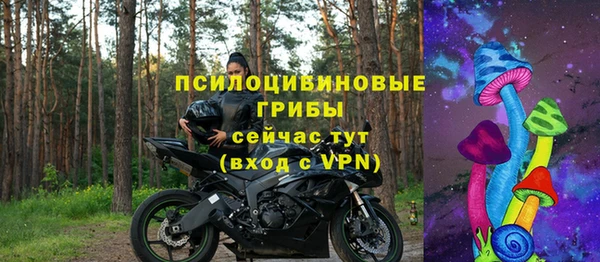 шишки Гусь-Хрустальный